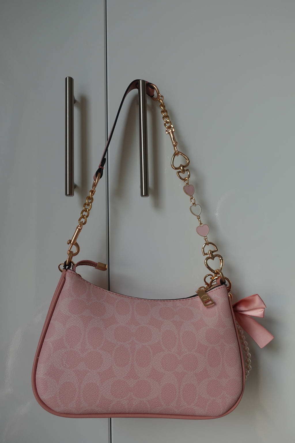 Pink Teri with Charms